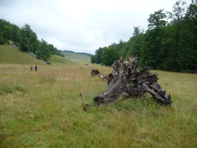 2009 Bosna a Hercegovina > obr (68)